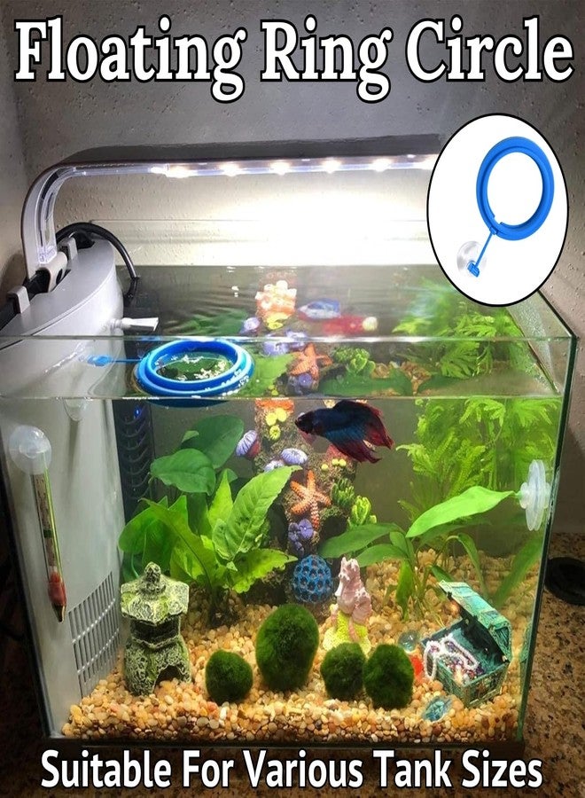 Western Era Aquarium Circle Floating Feeding Ring | Adjustable Fish Feeding Tool for Flakes & Pellets | Prevents Water Pollution | Ideal for Betta, Goldfish, Guppies & More | Fish Tank Accessories - Image 2